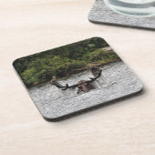 Dessous-de-verre Bull Moose (Côté gauche)