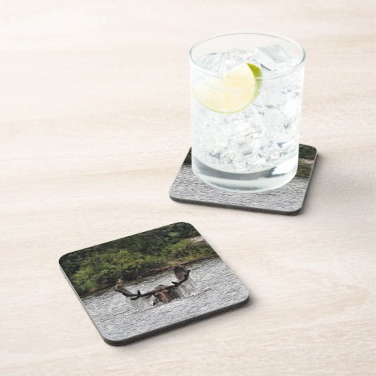 Dessous-de-verre Bull Moose (Côté Droit)