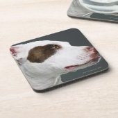 Dessous-de-verre Bull-terrier du Staffordshire, plan rapproché (Côté gauche)