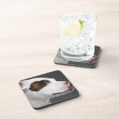 Dessous-de-verre Bull-terrier du Staffordshire, plan rapproché (Côté Droit)