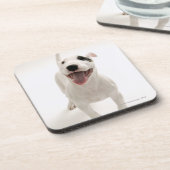 Dessous-de-verre Bull-terrier joyeux (Côté gauche)