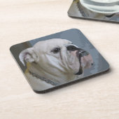 Dessous-de-verre bulldog (Côté gauche)