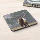 Dessous-de-verre Bulle de l'Elk, Yellowstone NP, Wyoming 2 (Côté gauche)