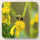 Dessous-de-verre Bumblebee (Devant)