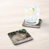 Dessous-de-verre Bunny carré (Côté Droit)