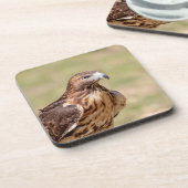 Dessous-de-verre Buse à queue rouge dans la vallée de l'Hudson (Côté gauche)