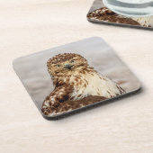 Dessous-de-verre Buse à queue rouge immature au sol (Côté gauche)