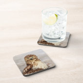 Dessous-de-verre Buse à queue rouge immature au sol (Côté Droit)