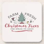 Dessous-de-verre cacahuètes | Arbres de Noël frais de ferme (Devant)