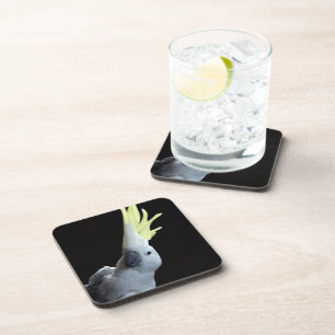Dessous-de-verre Cacatoès