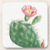 Cactus Cochenillifer, Illustration Antique, 1799
