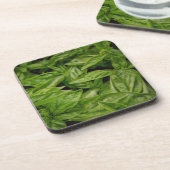 Dessous-de-verre Cahier Basil (Côté gauche)