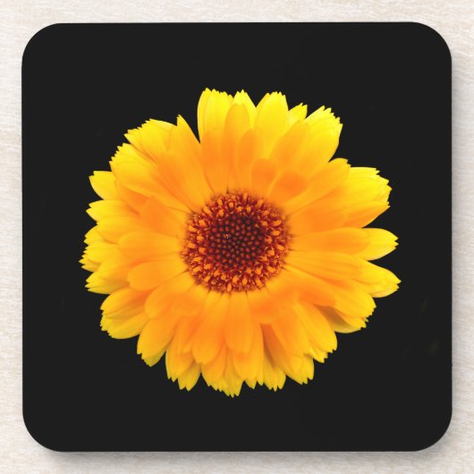 Dessous-de-verre Calendula Officinalis (Devant)