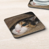 Dessous-de-verre Calico Taco (Côté gauche)