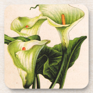 Dessous-de-verre calla lily