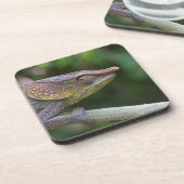 Dessous-de-verre Caméléon d'éléphant, Madagascar (Côté gauche)