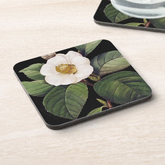 Dessous-de-verre Camélia blanc (Côté gauche)