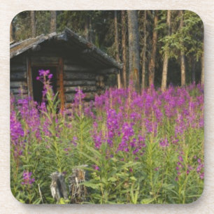 Dessous-de-verre Canada, Yukon, région de Ross River, cabine aband