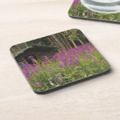 Dessous-de-verre Canada, Yukon, région de Ross River, cabine abando (Côté gauche)