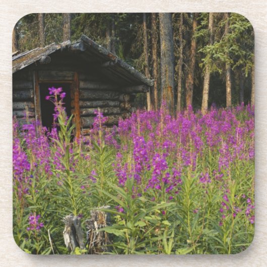 Dessous-de-verre Canada, Yukon, région de Ross River, cabine abando (Devant)