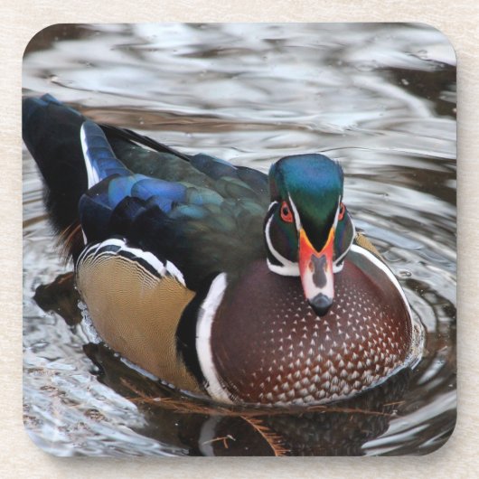 Dessous-de-verre Canard à bois unique (Devant)