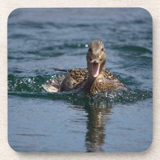 Dessous-de-verre Canard avec bec ouvert (Devant)