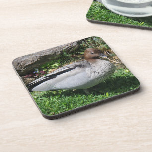 Dessous-de-verre Canard branchu australien dans un jardin tranquill