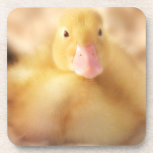Dessous-de-verre Canard Jaune Fuzzy Bébé de Pâques Canard