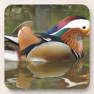 Dessous-de-verre canard mandarin