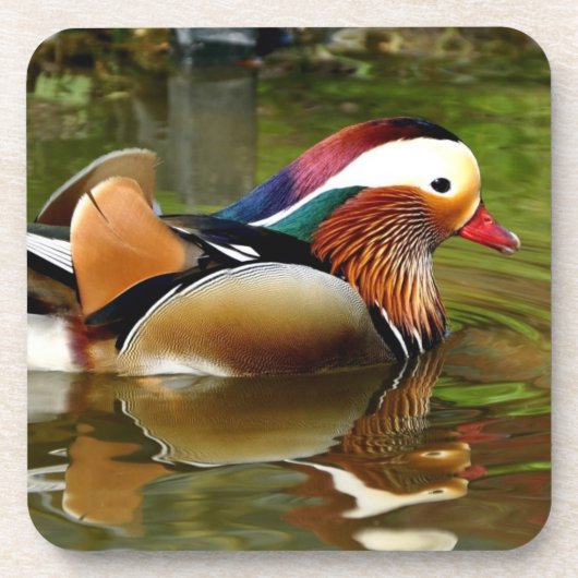 Dessous-de-verre Canard mandarin (Devant)