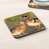 Dessous-de-verre Canards à bois et femelles en bois dans les zones (Côté gauche)