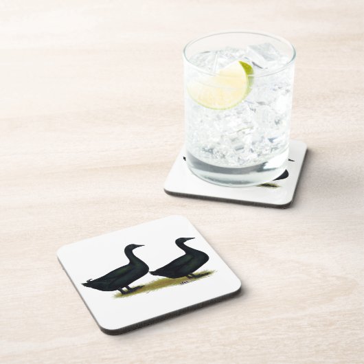 Dessous-de-verre Canards : Cayugas noirs (Côté Droit)