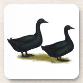 Dessous-de-verre Canards : Cayugas noirs (Devant)