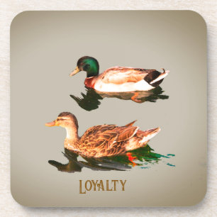 Dessous-de-verre Canards colverts. Loyauté