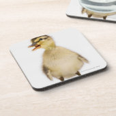 Dessous-de-verre Caneton de Mallard (platyrhynchos d'ana) (Côté gauche)