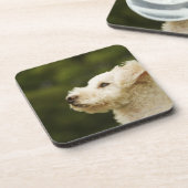 Dessous-de-verre Caniche 2 (blancs) (Côté gauche)
