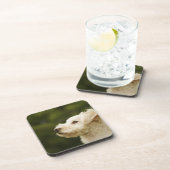 Dessous-de-verre Caniche 2 (blancs) (Côté Droit)