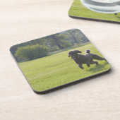 Dessous-de-verre Caniche jouant le frisbee (Côté gauche)