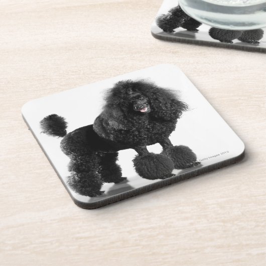 Dessous-de-verre Caniche noir équilibré (Côté gauche)