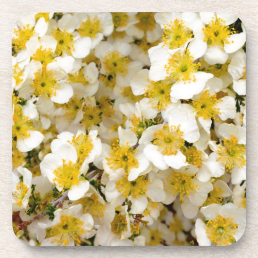 Dessous-de-verre Capitol Reef National Park, Utah, États-Unis 3 (Devant)