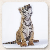 Dessous-de-verre Captif, Afrique du Sud (Devant)