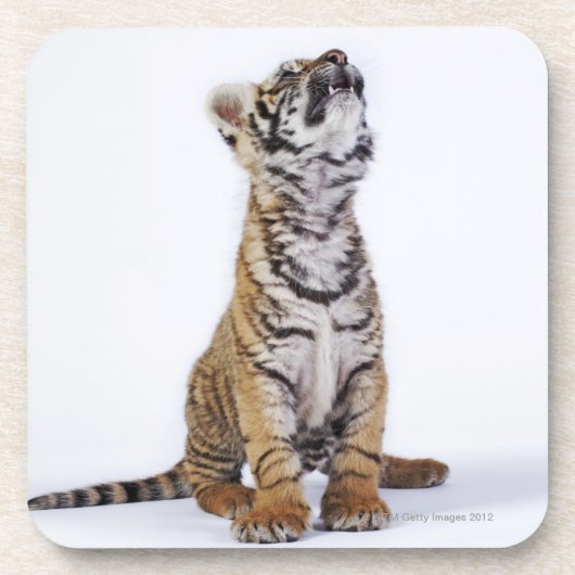 Dessous-de-verre Captif, Afrique du Sud (Devant)