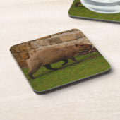 Dessous-de-verre capybara (Côté gauche)