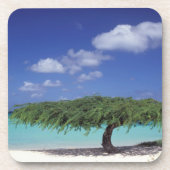 Dessous-de-verre Caraïbes, Aruba. Plage d'Eagle (Devant)