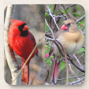 Dessous-de-verre Cardinal Couple