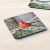 Dessous-de-verre Cardinal Crest (Côté gauche)