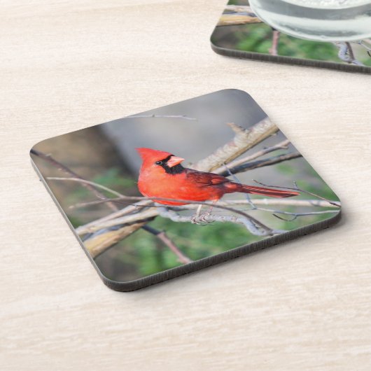 Dessous-de-verre Cardinal Crest (Côté gauche)