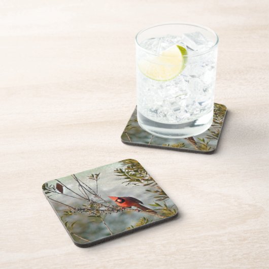 Dessous-de-verre Cardinal de Wax Myrtle (Côté Droit)