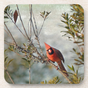 Dessous-de-verre Cardinal de Wax Myrtle