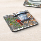 Dessous-de-verre Cardinal masculin (Côté gauche)